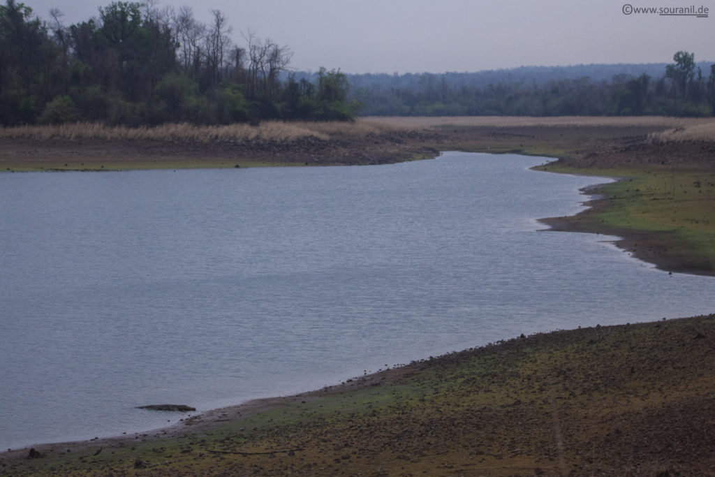 Tadoba Lake